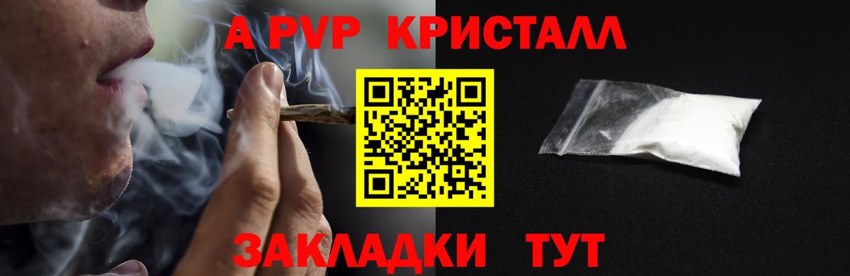 A-PVP СК КРИС Калининград